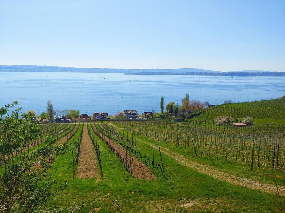Ferienwohnung Rodtsches Palais 6 Meersburg Zewnętrze zdjęcie